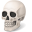 Skull Icon 32x32 png