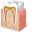 Tooth Anatomy Icon 32x32 png