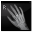 X-Ray Hand Icon 32x32 png