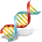 DNA Icon 48x48 png