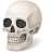 Skull Icon 48x48 png