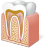 Tooth Anatomy Icon 48x48 png