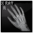 X-Ray Hand Icon 48x48 png