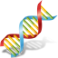 DNA Icon 64x64 png
