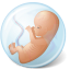 Embryo Icon 64x64 png