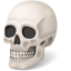 Skull Icon 64x64 png