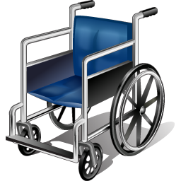 Wheel Chair Icon 256x256 png