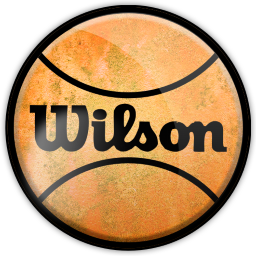 Wilson Bball Icon 256x256 png