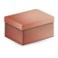 Box Red Icon 64x64 png