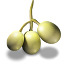 Grapes Icon 64x64 png