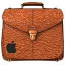 Briefcase Folder Rufous Icon