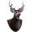 Deer Head Icon