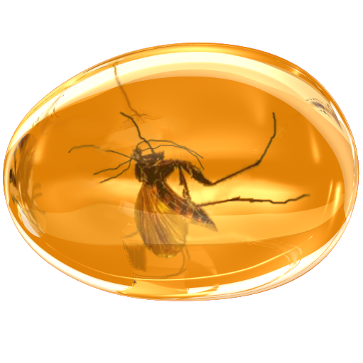 Amber Icon 512x512 png