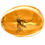 Amber Icon 64x64 png