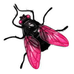 Fly Icon 256x256 png