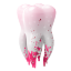 Tooth Icon 64x64 png