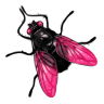 Fly Icon 96x96 png