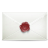 Secret E-mail Icon