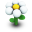 White Daisy Icon 32x32 png