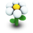 White Daisy Icon 48x48 png
