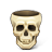 Skull Empty Icon