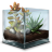 Succulent Terrarium Icon