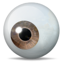 Brown Eye Icon 128x128 png