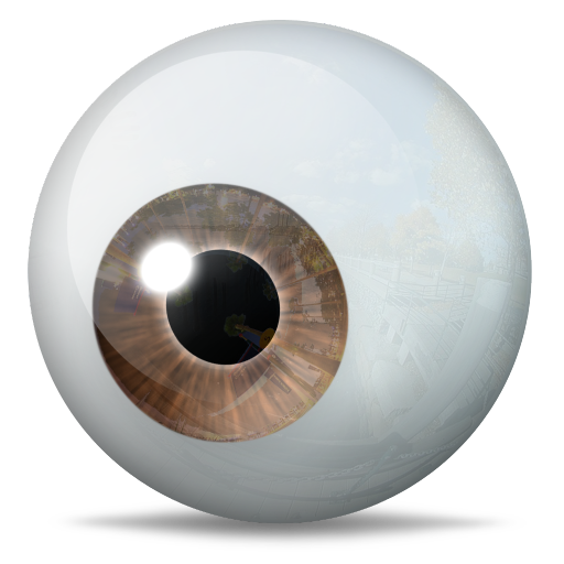Brown Eye Icon 512x512 png