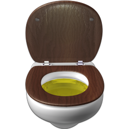 WC Trash Full Icon 256x256 png