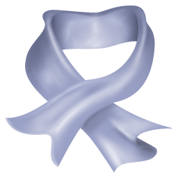 Scarf Icon 256x256 png