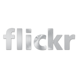 Flickr 2 Icon 256x256 png