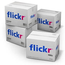 Flickr Shipping Icon 256x256 png
