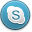 Skype Active Icon 32x32 png