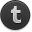Tumblr Dark Icon