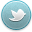 Twitter 2 Active Icon