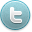 Twitter Active Icon 32x32 png