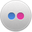 Flickr Active Icon 64x64 png