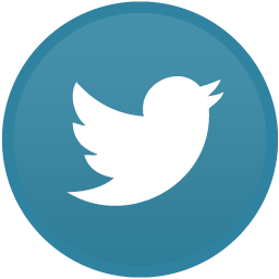 Twitter Light Icon 256x256 png