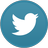 Twitter Light Icon 48x48 png