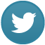 Twitter Light Icon 64x64 png