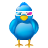 Twitter Video Icon
