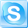Skype Icon 96x96 png