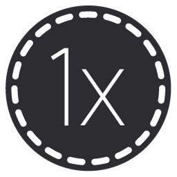 1x Icon 256x256 png