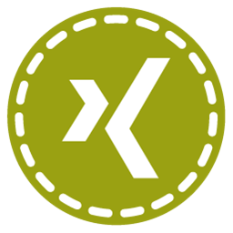 XING Icon 256x256 png