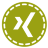 XING Icon 48x48 png