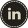 LinkedIn Active Icon