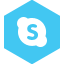 Skype Icon 64x64 png