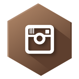 Instagram Icon 256x256 png