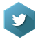 Twitter Icon 56x56 png