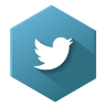 Twitter Icon 96x96 png